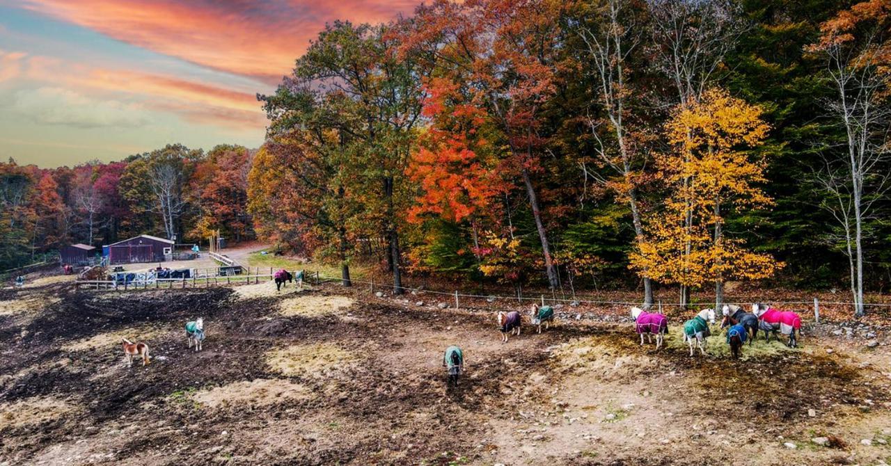 Mountain Laurel Resort White Haven Exteriér fotografie
